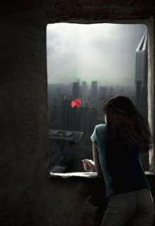 Книга. "Разлюбить за сутки" читать онлайн