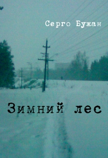 Книга. "Зимний Лес" читать онлайн
