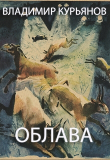 Книга. "Облава" читать онлайн