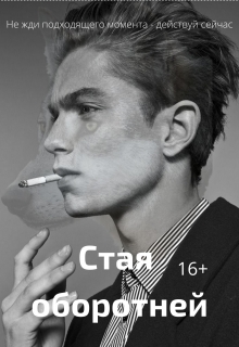 Книга. "Стая оборотней" читать онлайн