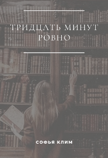 Книга. "Тридцать минут ровно" читать онлайн