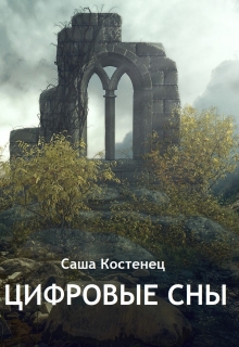 Книга. "Цифровые Сны" читать онлайн