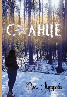 Книга. "Солнце" читать онлайн