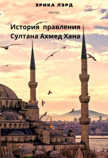 Книга. "История правления Султана Ахмед Хана" читать онлайн