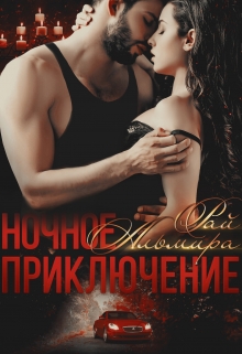 Книга. "Ночное приключение" читать онлайн