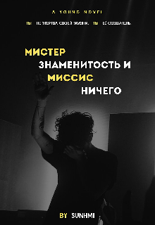 Книга. "Мистер знаменитость и Миссис ничего" читать онлайн