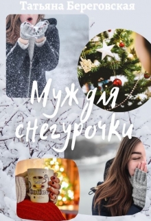 Книга. "Муж для Снегурочки" читать онлайн
