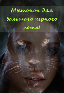 Книга. "Мышонок для большого черного кота" читать онлайн