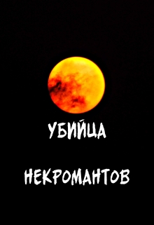 Книга. "Убийца некромантов" читать онлайн