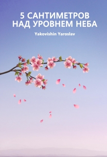 Книга. "5 Сантиметров над уровнем неба" читать онлайн