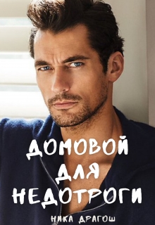 Книга. "Домовой для недотроги" читать онлайн