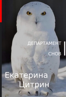 Книга. "Департамент сновидений" читать онлайн