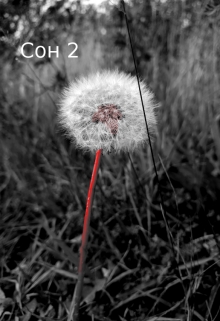Книга. "Сон 2" читать онлайн