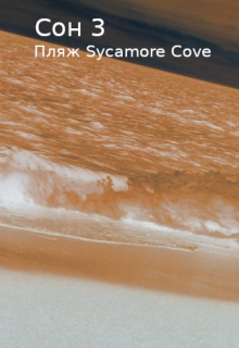 Книга. "Сон 3. Пляж Sycamore Cove" читать онлайн