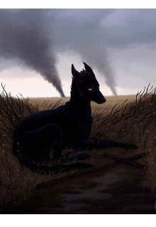 Книга. "Другая Вселенная " читать онлайн