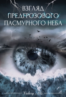 Книга. "Взгляд предгрозового пасмурного неба" читать онлайн