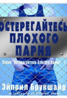 Книга. "Остерегайтесь плохого парня " читать онлайн