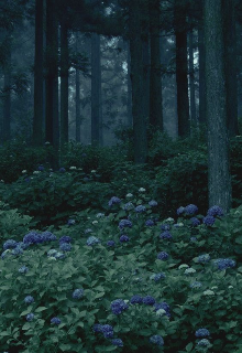 Книга. "Тайны затерянного леса " читать онлайн
