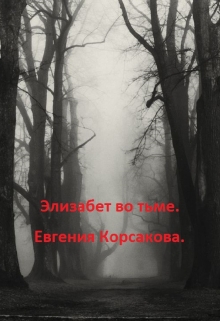 Книга. "Элизабет во тьме" читать онлайн