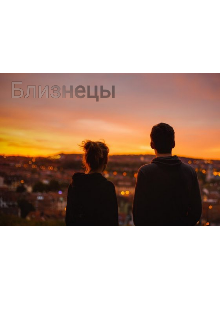 Книга. "Близнецы" читать онлайн