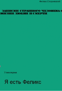 Книга. "Записки странного человека о жизни, любви и смерти" читать онлайн