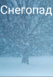 Книга. "Снегопад" читать онлайн