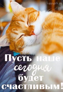 Книга. "Пусть наше сегодня будет счастливым! " читать онлайн