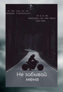 Книга. "Не забывай меня" читать онлайн