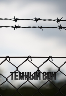Книга. "Тёмный сон" читать онлайн