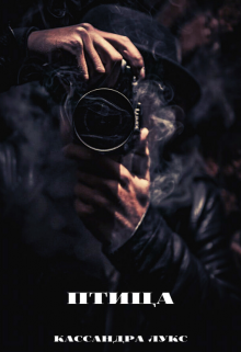 Книга. "Птица" читать онлайн