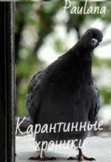 Книга. "Карантинные хроники" читать онлайн
