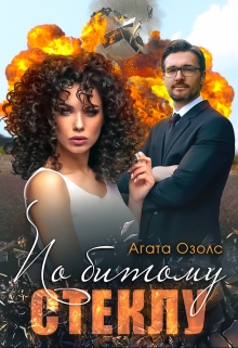 Книга. "По битому стеклу" читать онлайн