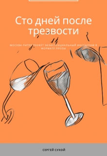 Книга. "Сто дней после трезвости" читать онлайн