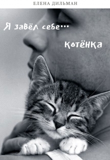 Книга. "Я завёл себе... котёнка" читать онлайн