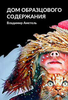 Книга. "Дом образцового содержания" читать онлайн