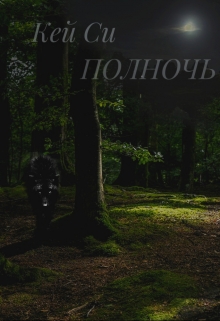 Книга. "Полночь" читать онлайн