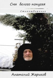Книга. "Сны белого попугая" читать онлайн