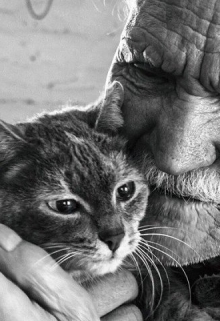 Книга. "Старик и кот" читать онлайн