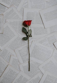 Книга. "Бои местного значения" читать онлайн