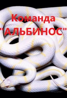 Книга. "Команда "Альбинос"" читать онлайн