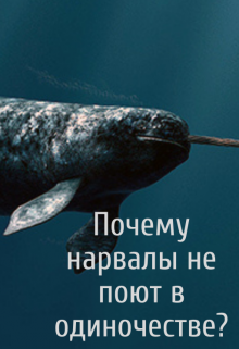 Книга. "Почему нарвалы не поют в одиночестве?" читать онлайн