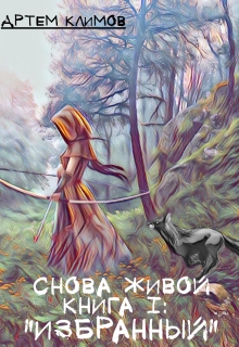 Книга. ""Избранный"" читать онлайн