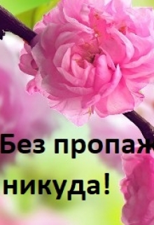 Книга. "Без пропаж никуда" читать онлайн