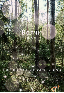 Книга. "Тайна Мрачного леса" читать онлайн