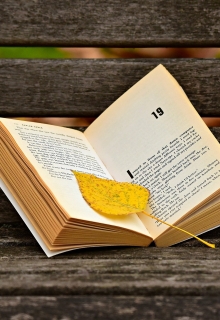 Книга. "Меня зовут Анфиса. Сборник современной прозы" читать онлайн