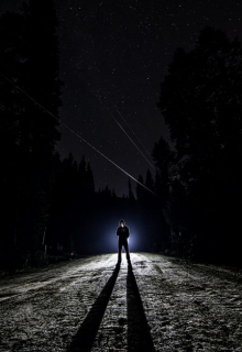 Книга. "Попутчик" читать онлайн