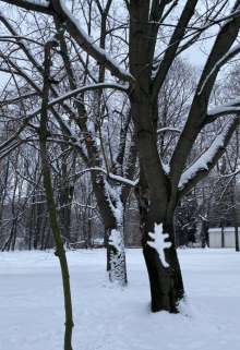 Книга. "Когда нельзя..." читать онлайн