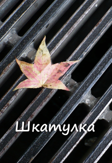 Книга. "Шкатулка" читать онлайн