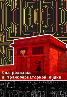 Книга. "Она родилась в трансформаторной будке" читать онлайн
