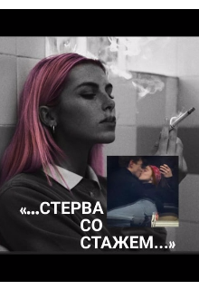 Книга. "&laquo;стерва со стажем...&raquo; " читать онлайн